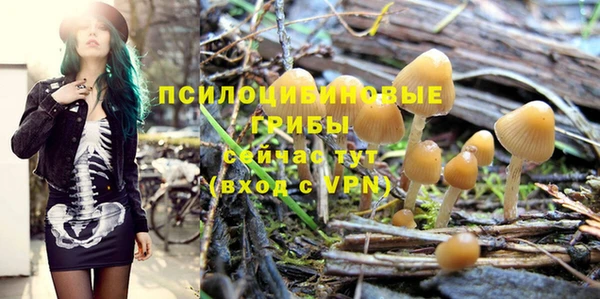 прущая мука Верхний Тагил