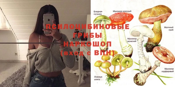 прущая мука Верхний Тагил